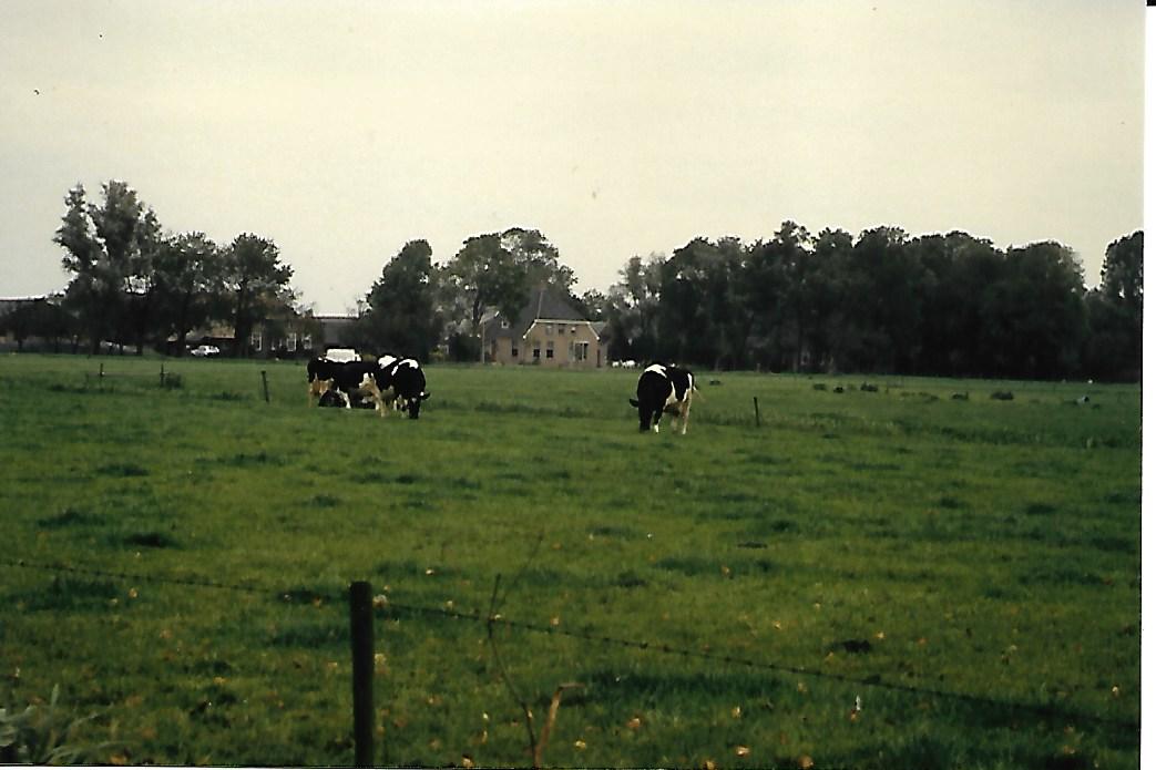 Larijweg