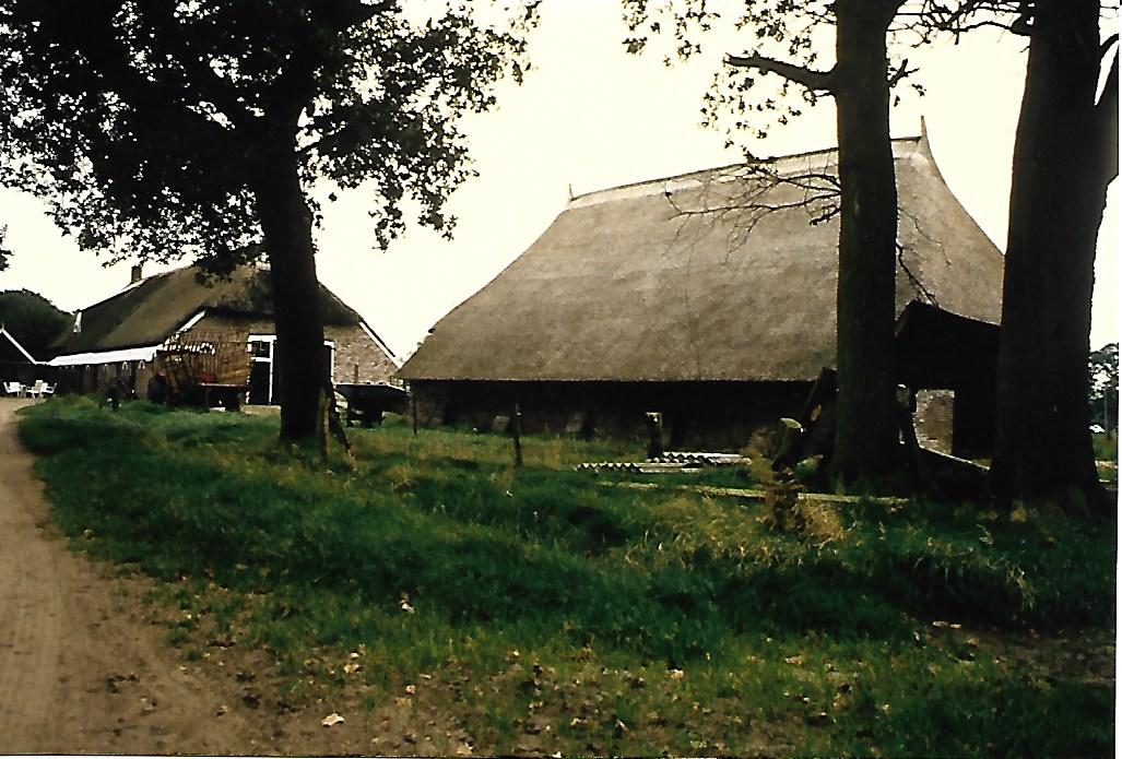 schaapskooi