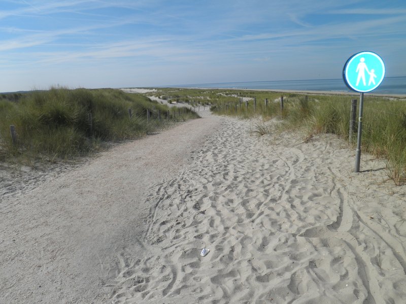 strand